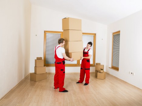 Organized storage unit for household items in Denmarkhill
